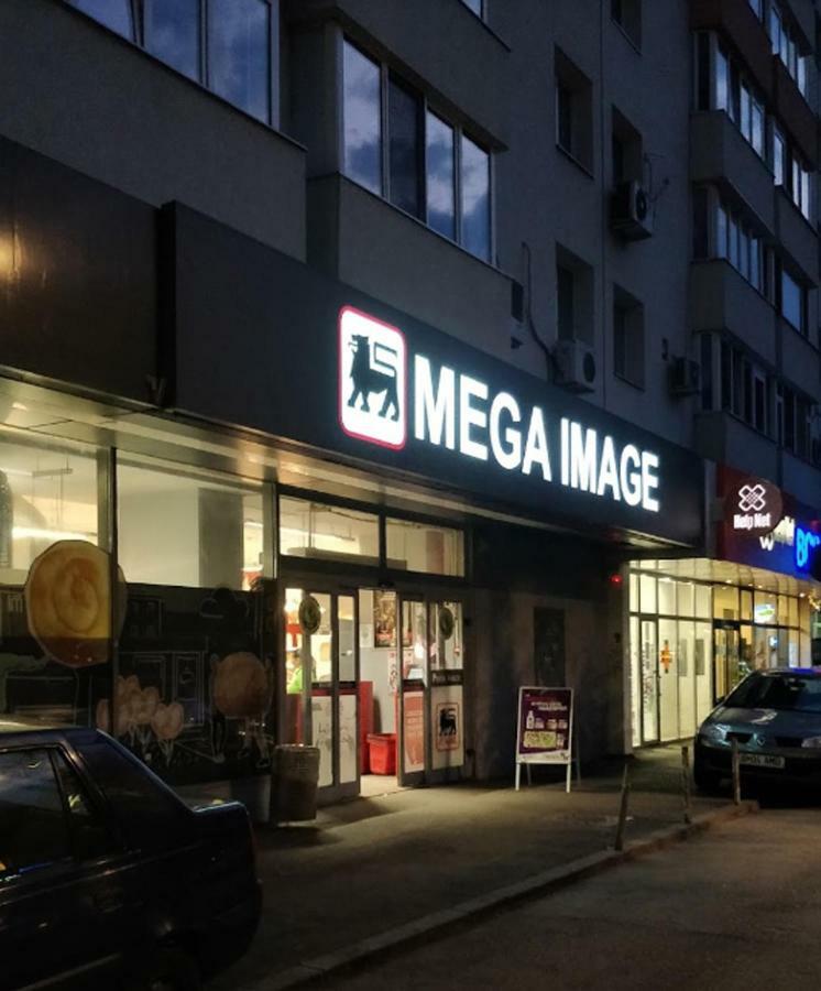 Central Luxury Flat With Terrace - Adela Accommodation - Ideal For Long Stays Bukareszt Zewnętrze zdjęcie
